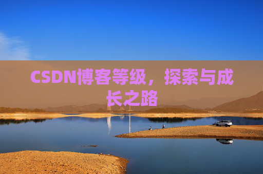 CSDN博客等级,探索与成长之路